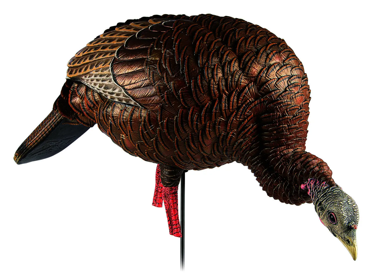 Avian X AVXAVX8107 HDR Feeder Hen Turkey Species Multi-Color