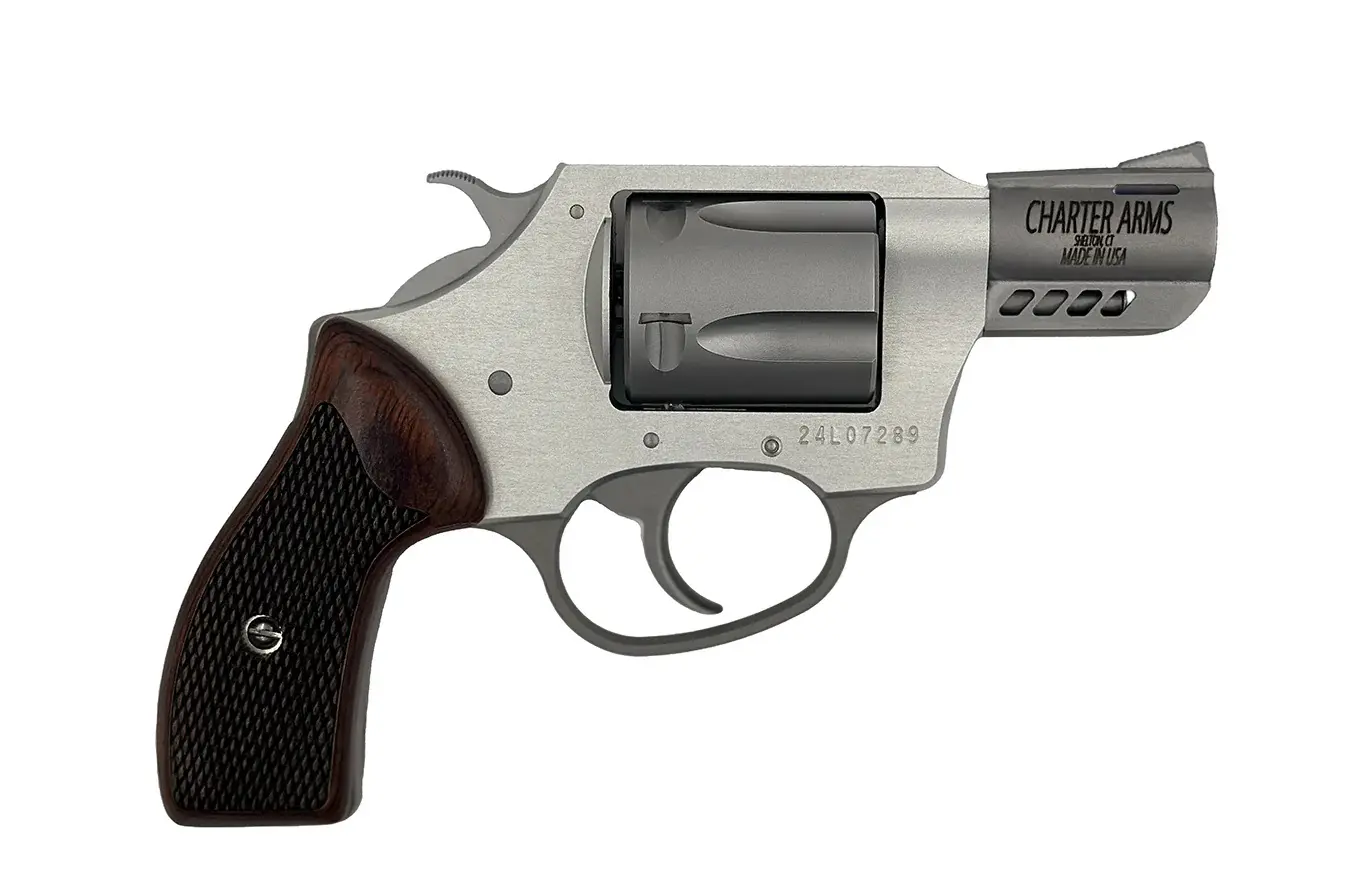 CHARTER ARMS COYOTE 380ACP SS 2" 5RD