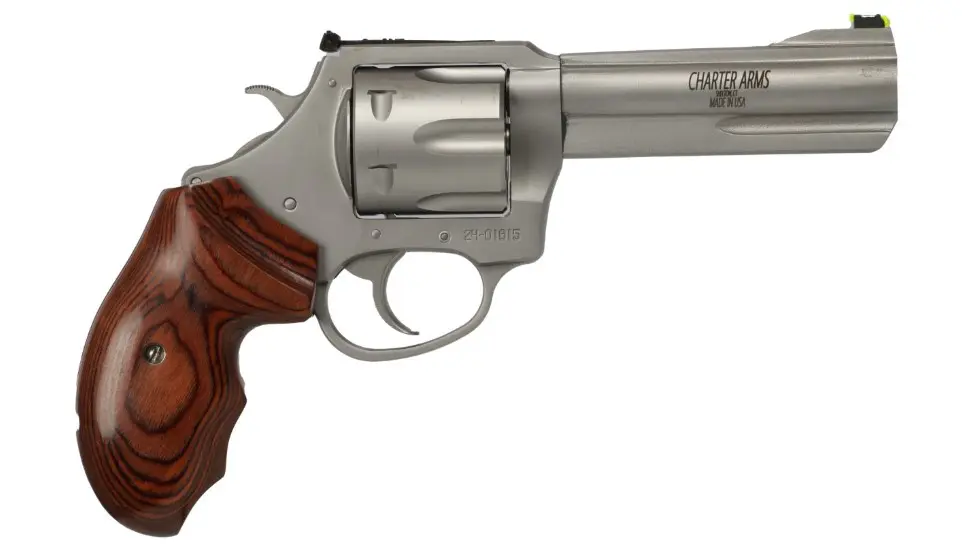 CHARTER ARMS THE PROFESSIONAL 357MAG SS