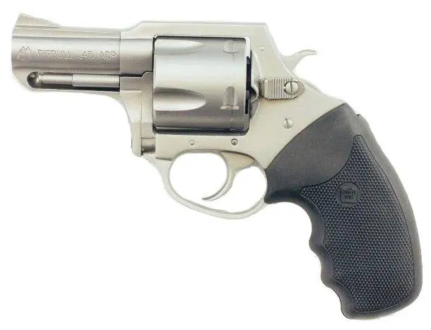 CHARTER ARMS CHARTER PITBULL 45ACP SS 2.5"