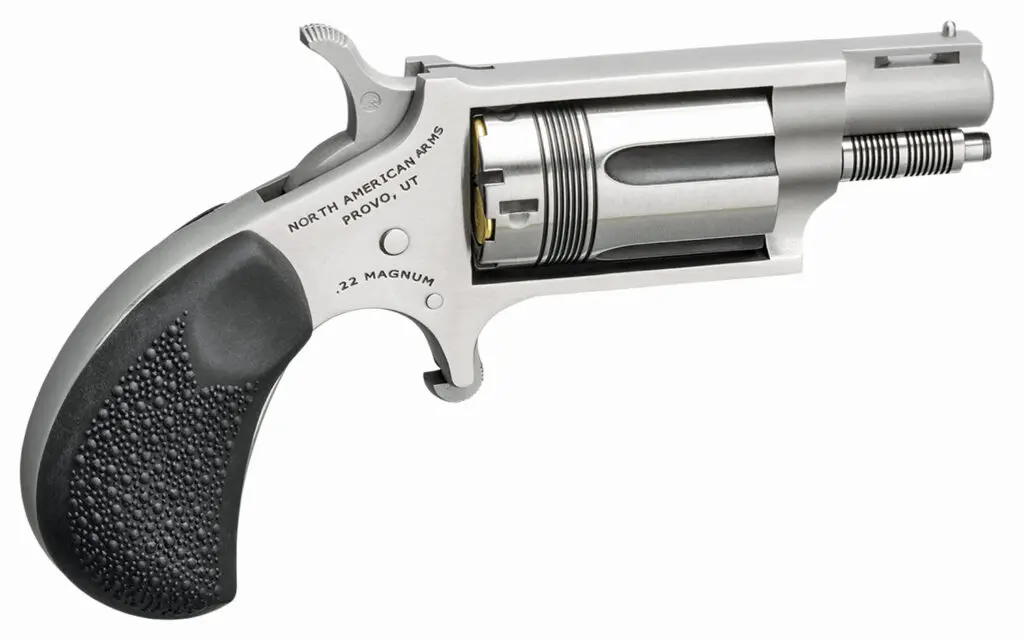 NORTH AMERICAN ARMS THE WASP 22MAG REV 1-1/8" SS