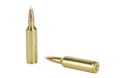NOSLER 270WSM 140GR AB 20/200 - Image 4