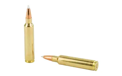 NOSLER 30NOS 180GR AB 20/200 - Image 4