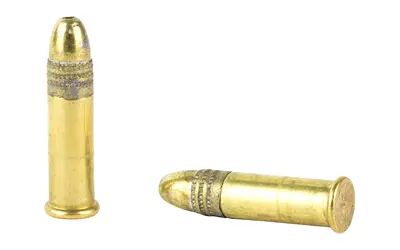 Ammunition cartridge with brass casing and bullet tip.
