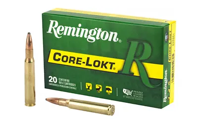 REM 30-06 150GR PSP CL 20/200