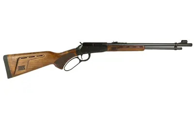 SAV REVEL DLX 22LR 18" 12RD BLK - Image 2