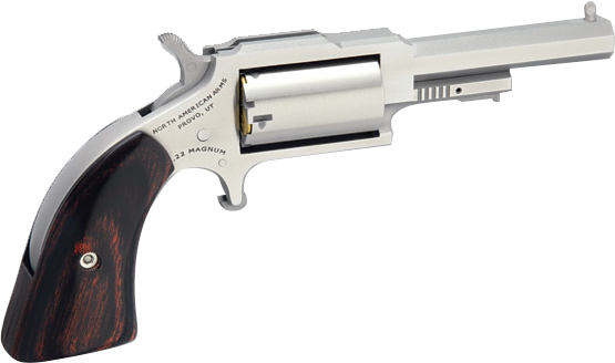 NORTH AMERICAN ARMS SHERIFF 22LR/22MAG 2.5" SS 5SH