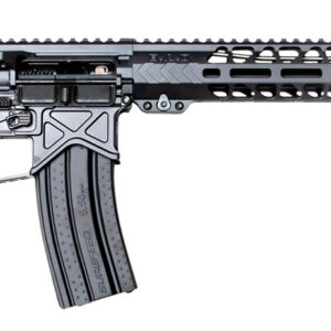 AR-15 style semi-automatic rifle with adjustable stock and tactical handguard.