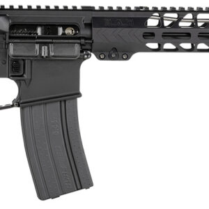 Black semi-automatic rifle with adjustable stock and tactical handguard.