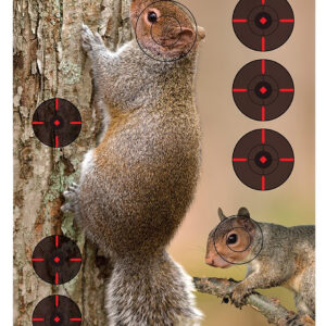 Birchwood Casey 35406 Pregame  Squirrel Paper Hanging Rifle 12" x 18" Impact Enhancement 8 Per Pkg