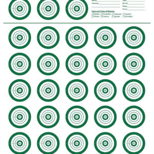EZ-Aim 15582 Official IBS  Rimfire Target  Non-Adhesive White/Green 25 Pack