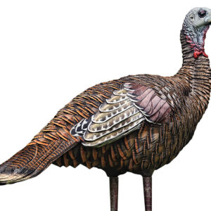 Avian X AVXAVX8006 LCD Lookout Hen Turkey Species Multi Color Dura-Rubber