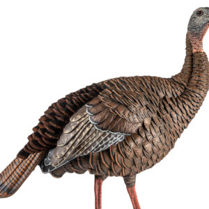 Avian X AVXAVX8106 HDR Hen Turkey Species Multi Color