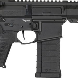 Black tactical rifle with adjustable stock and rail system.