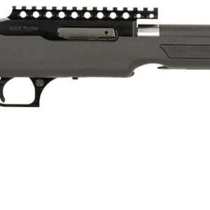 Bolt-action rifle with scope and synthetic stock for hunting and shooting sports.