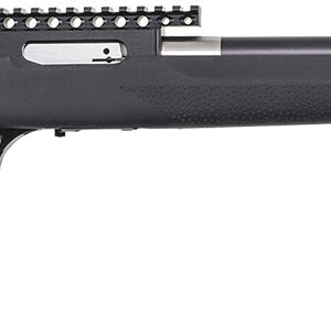 Bolt-action rifle with black synthetic stock and scope mount.