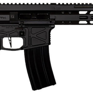 Global Ordnance LLC 197892003216 Monolithic  5.56 NATO 16" Barrel, Keymod Handguard, Modular Black Stock, Black Polymer Grip