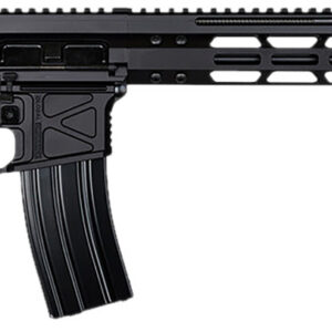 Global Ordnance LLC 197892003223 Monolithic  5.56 NATO 16" Barrel, M-LOK Handguard, Modular Black Stock, Black Polymer Grip
