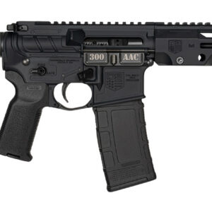Black tactical rifle with adjustable stock and rail system.