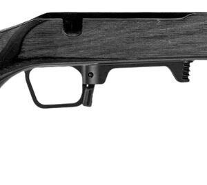 Rifle with wooden stock and black barrel for hunting and shooting.
