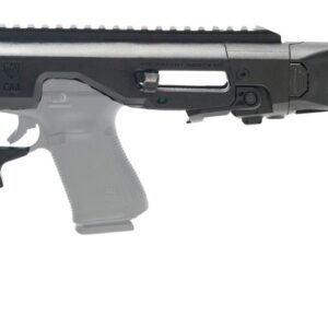 RONI MR4X-CZP10-STAB-BLK    MICRO RONI G4 CZ P10