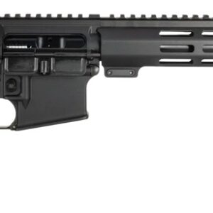One Horse LLC  OH-15  5.56 NATO 30+1 16" Black Threaded Barrel, Black Receiver w/Picatinny Rail, M-LOK Handguard, One Horse M4 6 Position Black Polymer Stock, Black A2 Grip