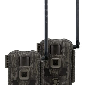 Wireless trail camera with dual antennas for remote wildlife observation.