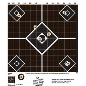 Champion Targets 45804 VisiShot  5-Diamond Paper Hanging Pistol/Rifle 13" x 18" Black/White 10 Pack