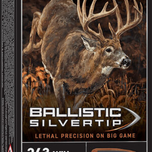 Winchester Ammo SBST243 Ballistic Silvertip 243Win 55gr Fragmenting Polymer Tip 20 Per Box/10 Case
