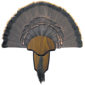 HS Strut 00849 Turkey Tail & Beard Mounting Kit