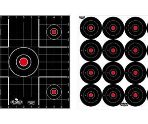B/C DIRTY BIRD COMBO TARGETS 12PK