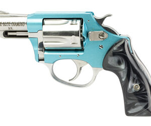 CHARTER ARMS BL DIAMOND 38SPL 2" 5RD