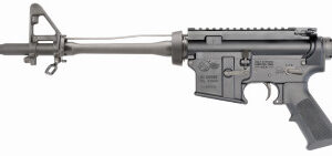 COLT AR-15 PLTFRM CARB BK FRNT SGT