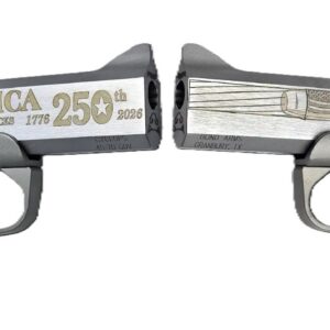 BOND ARMS 250TH REDNECK 45-70 SS 4.25"