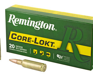 REM 300RSAUM 165GR PSP CL 20/200