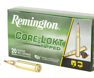 REM 243WIN 95GR CLOK TIPPED 20/200