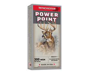 WIN SPRX PWR PNT 300WSM 180GR 20/200