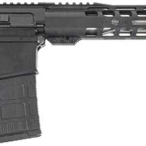 DPM AR10 RFL 308 20RD 20SS MOE